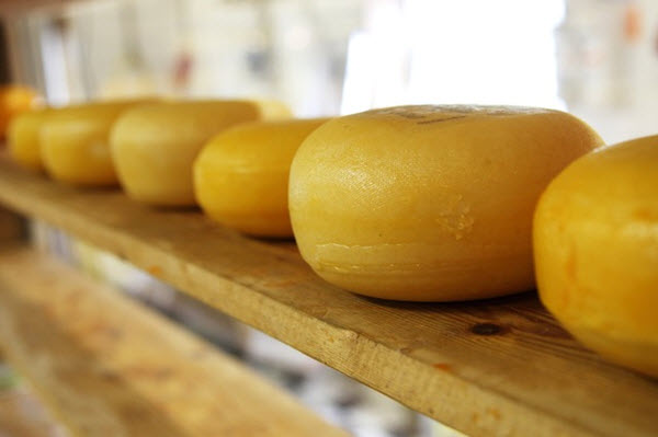 manger fromage hollandais
